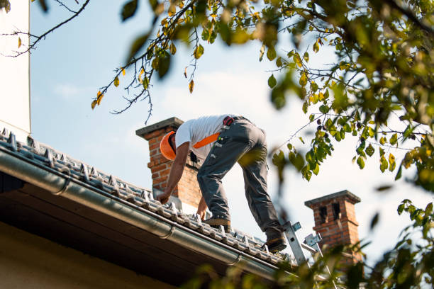Best Sealant for Roof  in Clinton, WA