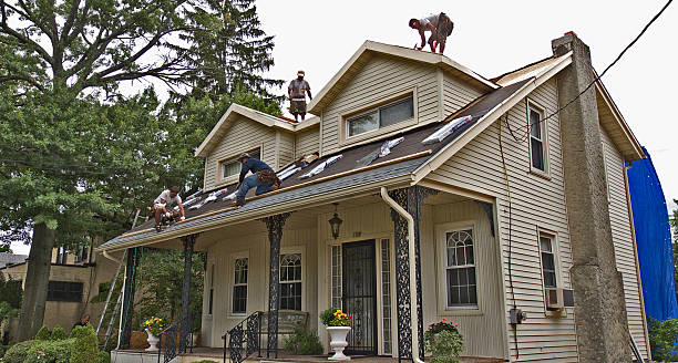 Professional Roofing Contractor in Clinton, WA