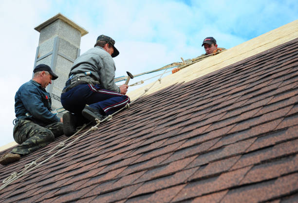 Best Shingle Roofing Installation  in Clinton, WA
