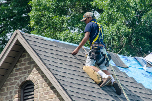 Best Roof Maintenance Services  in Clinton, WA